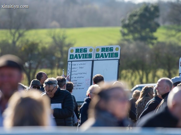 A group of people gathered outdoors with two large betting boards in the background labeled 'REG DAVIES'. The setting appears to be a countryside location with trees and fields visible in the distance. The crowd consists of individuals dressed in jackets and hats, engaging in conversation.